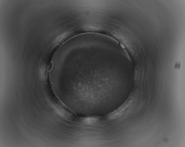 X0000101140168200807071134