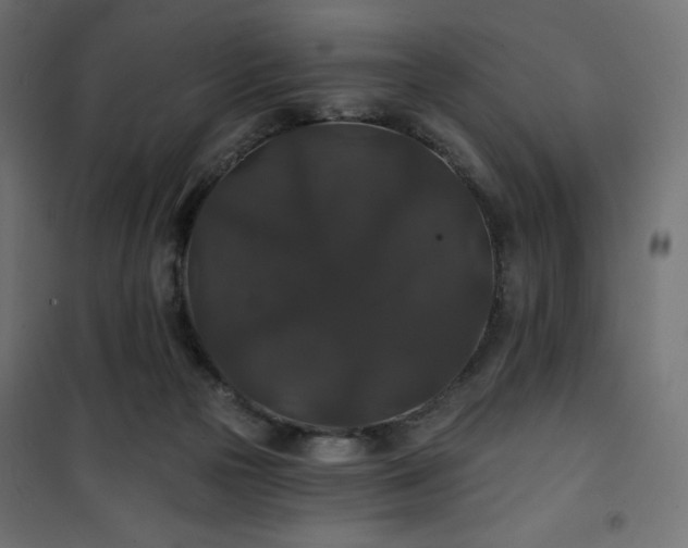 X0000101140169200807071134