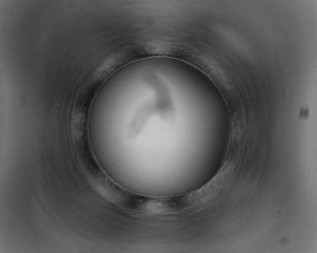 X0000101140171200807071134