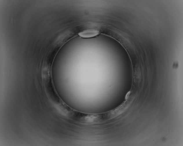 X0000101140172200807071134