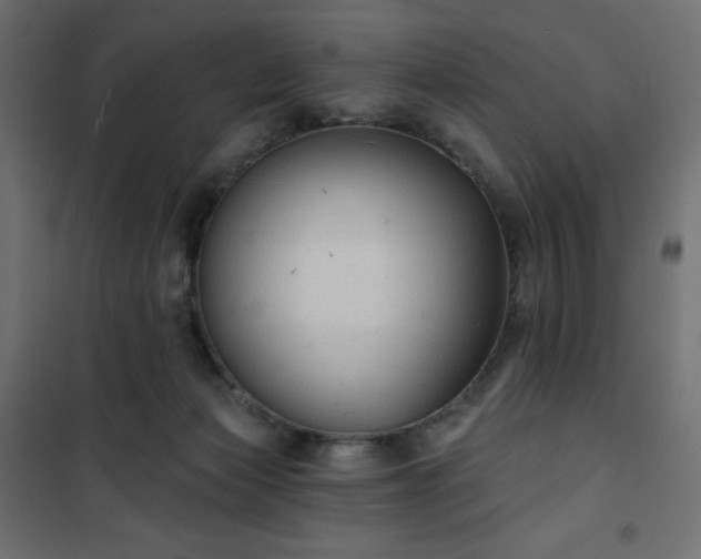 X0000101140173200807071134