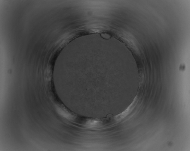 X0000101140174200807071134