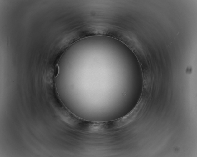 X0000101140175200807071134