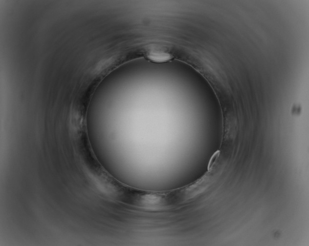 X0000101140176200807071134