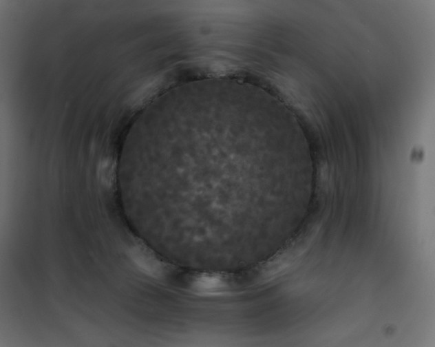 X0000101140177200807071134