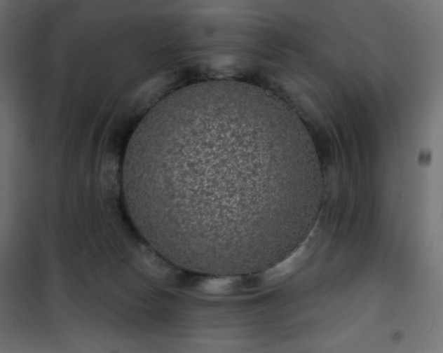 X0000101140178200807071134