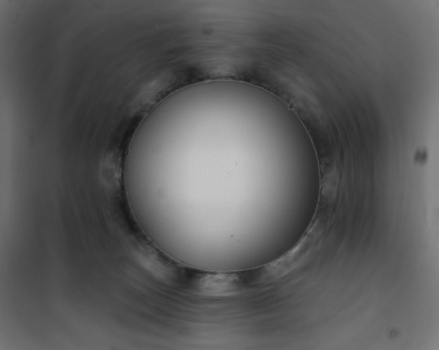 X0000101140179200807071134