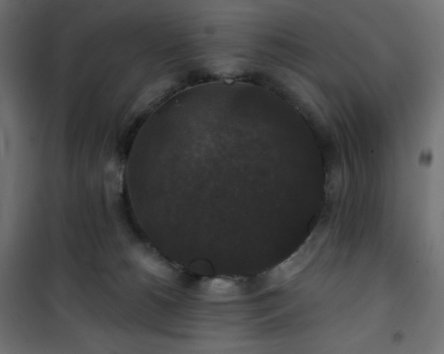 X0000101140180200807071134