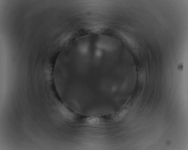 X0000101140181200807071134