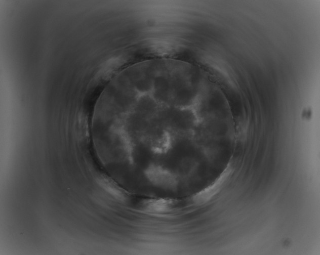 X0000101140182200807071134