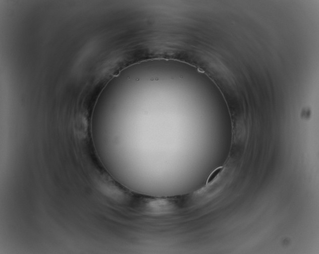 X0000101140183200807071134