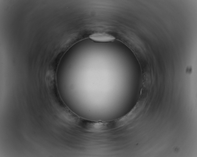 X0000101140184200807071134