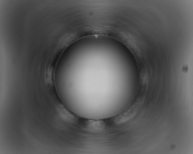 X0000101140185200807071134