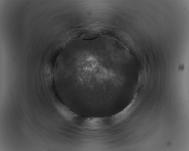 X0000101140186200807071134