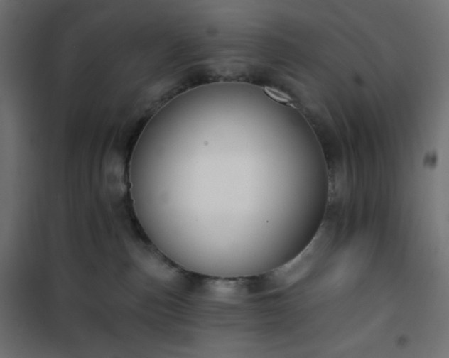 X0000101140187200807071134