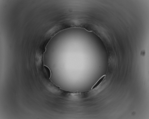 X0000101140188200807071134