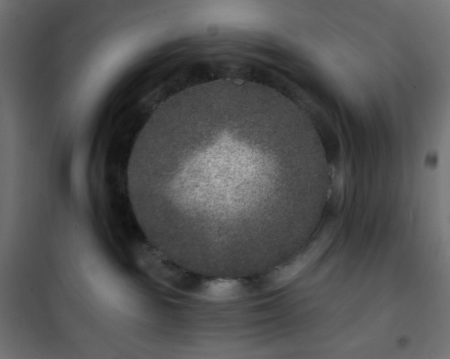 X0000101140189200807071134