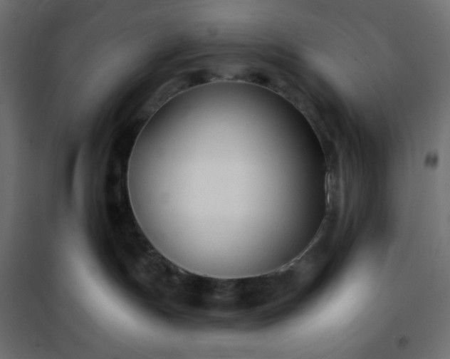 X0000101140191200807071134