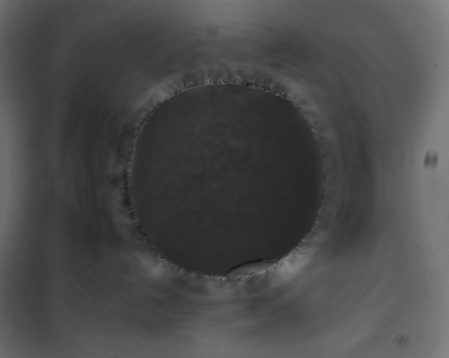 X0000101140192200807071134