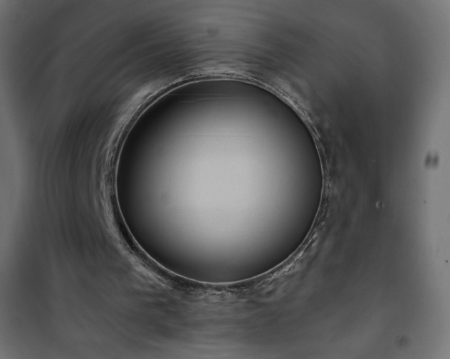 X0000101140193200807071134