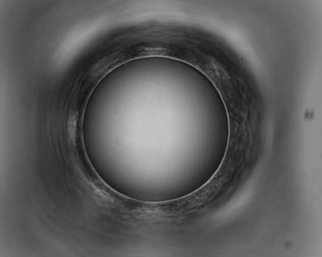 X0000101140194200807071134