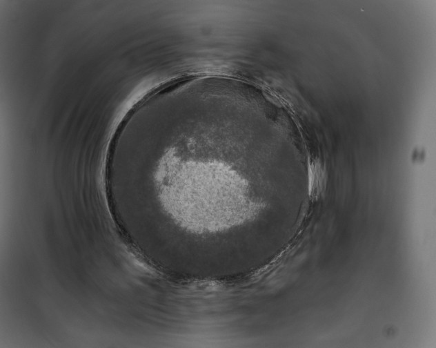 X0000101140195200807071134