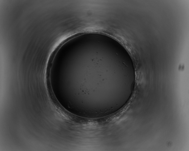 X0000101140196200807071134