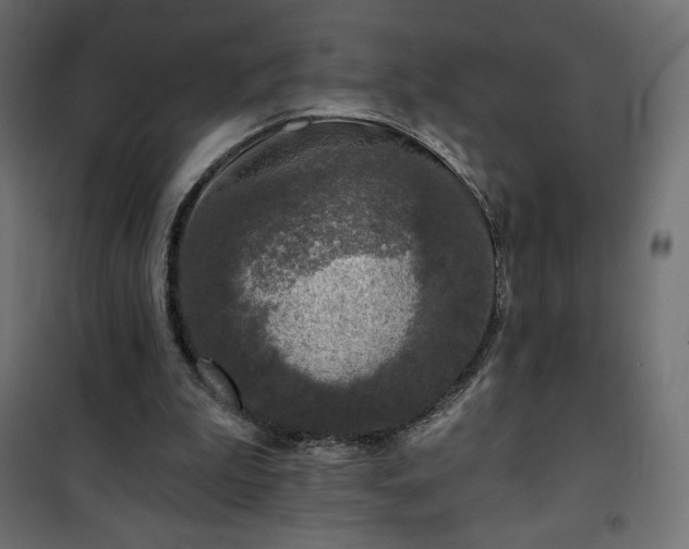 X0000101140199200807071134