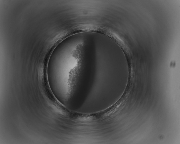 X0000101140202200807071133