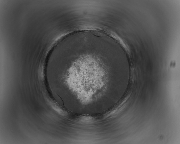 X0000101140203200807071133