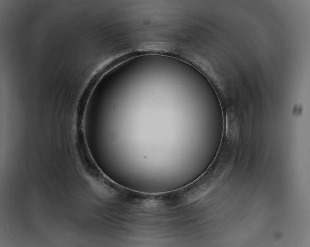 X0000101140204200807071133