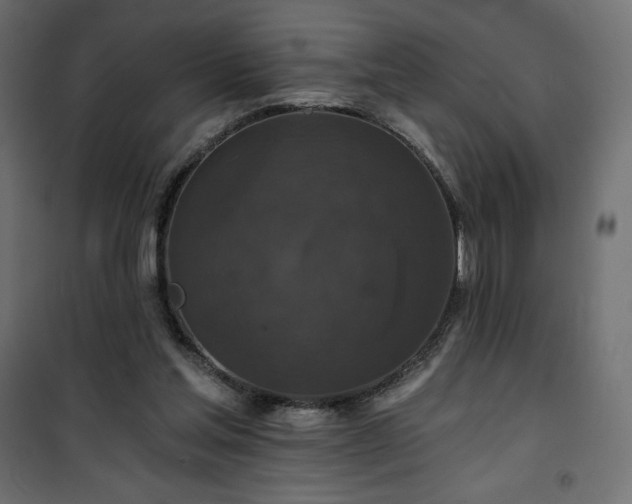 X0000101140205200807071133