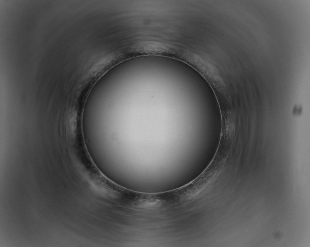 X0000101140206200807071133