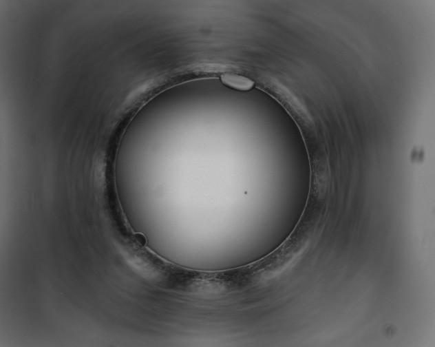 X0000101140207200807071133