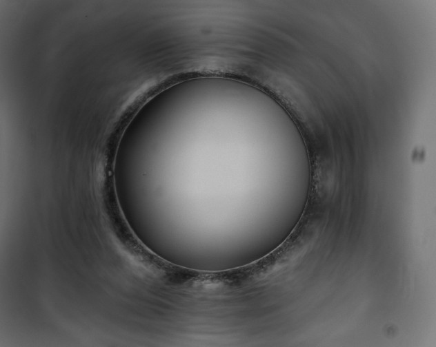 X0000101140208200807071133