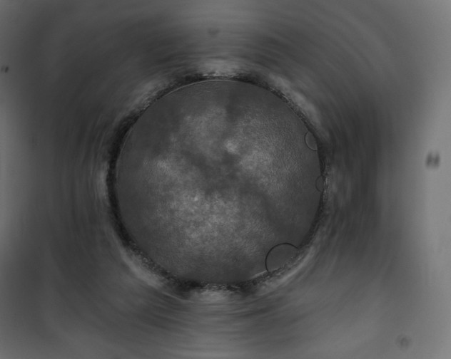 X0000101140209200807071133