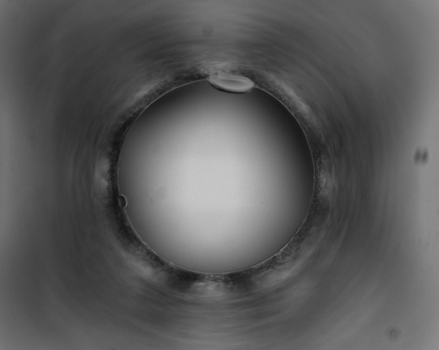 X0000101140211200807071133