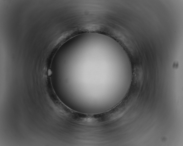 X0000101140212200807071133