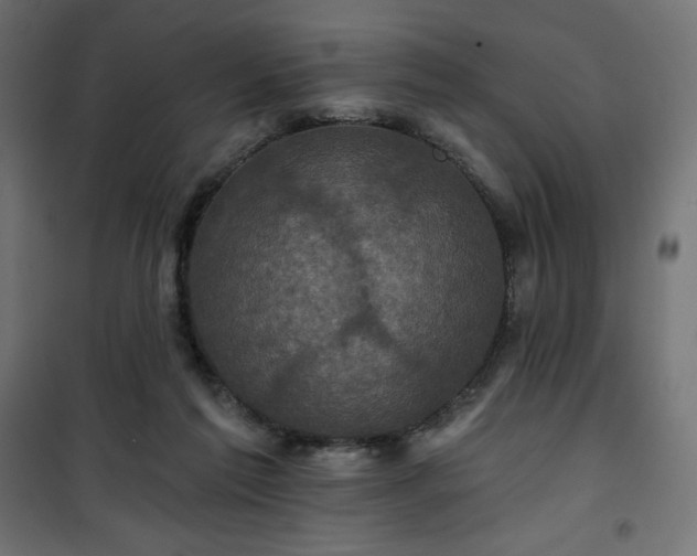 X0000101140213200807071133