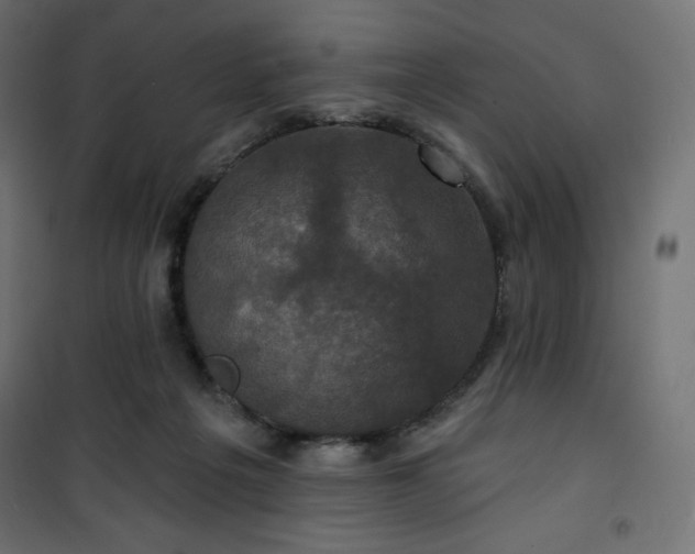 X0000101140217200807071133