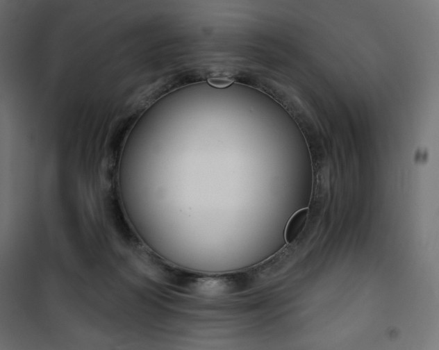 X0000101140218200807071133