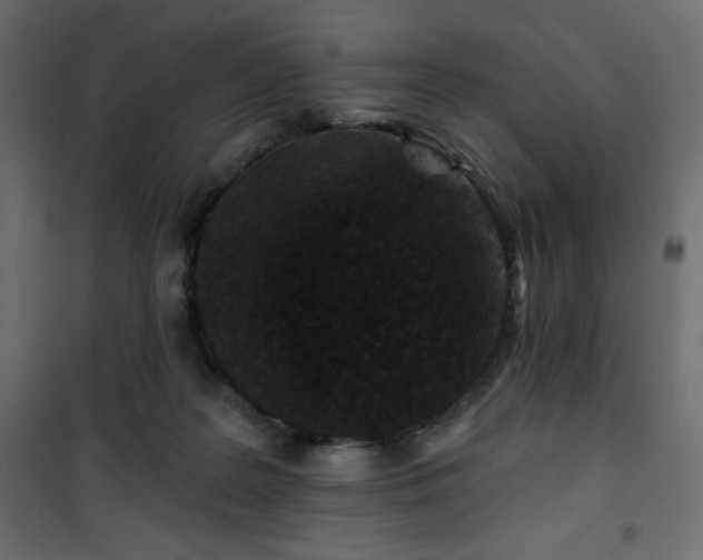 X0000101140219200807071133