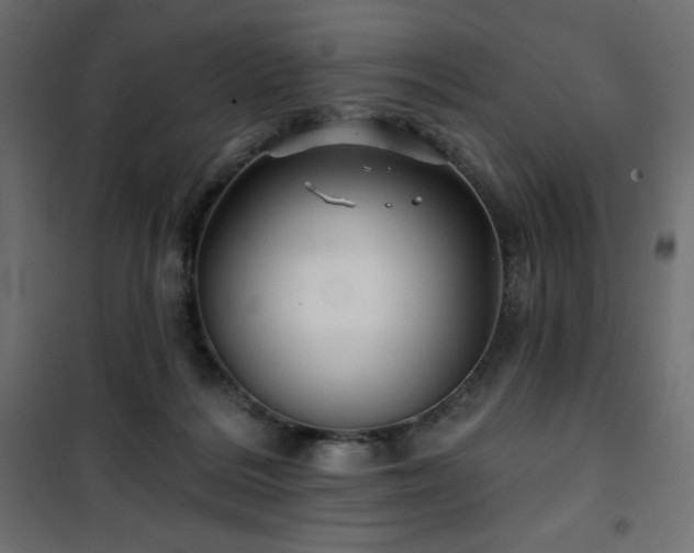 X0000101140220200807071133