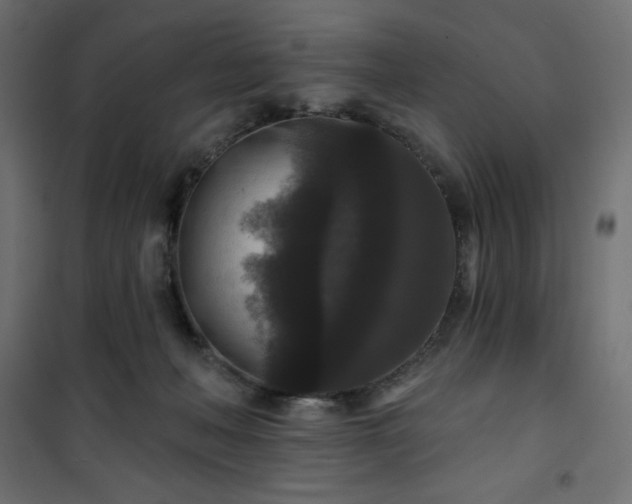 X0000101140222200807071133