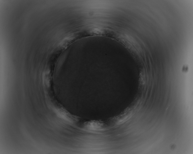 X0000101140223200807071133