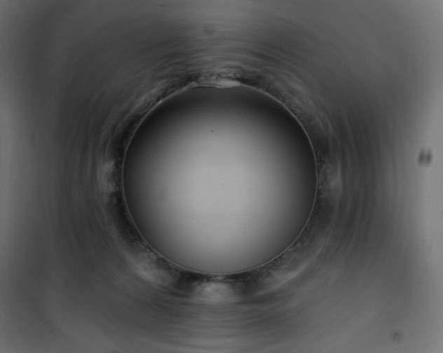 X0000101140224200807071133