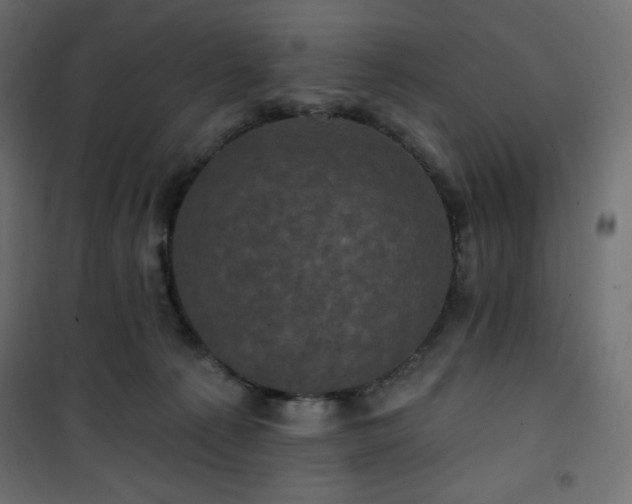 X0000101140225200807071133