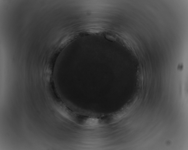 X0000101140227200807071133