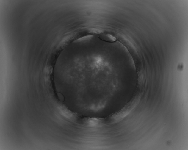 X0000101140229200807071133