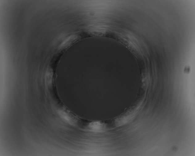 X0000101140231200807071133